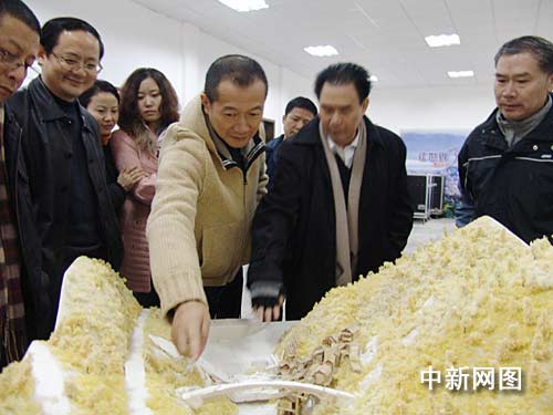 �T���H�R���ҽ����Tɽ�錍(sh��)���ݳ��������`��