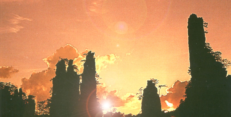 ����ɽ��Ȼ���o�^(q��)